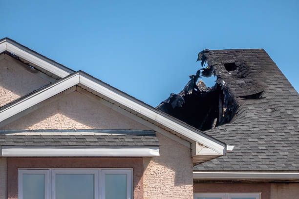Top rated local Fire Damage Removal specialists in Silver Spring, MD